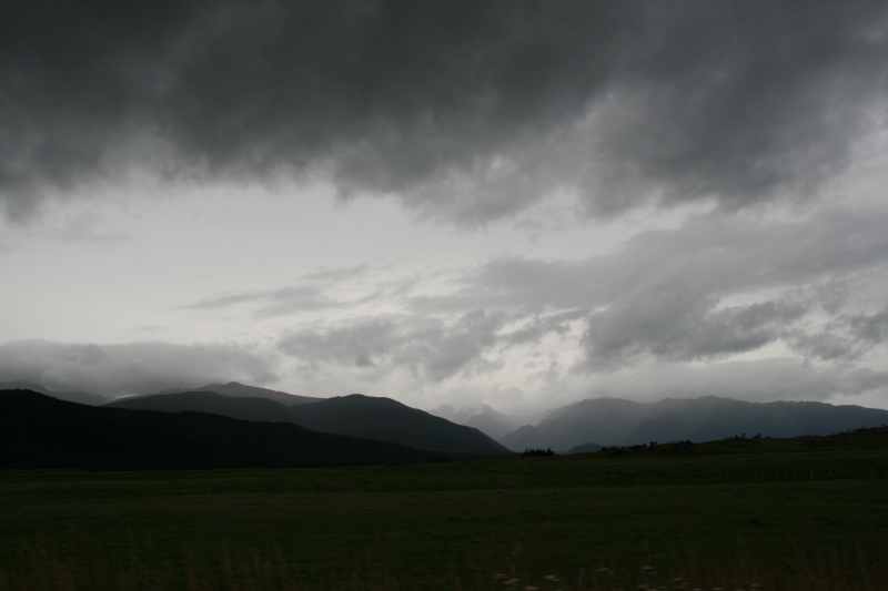 Nieuw-Zeeland 2011 - 1674